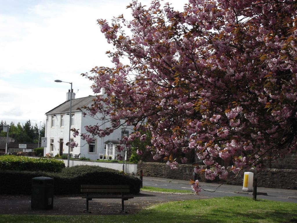 Kirkcroft Guest House Gretna Extérieur photo